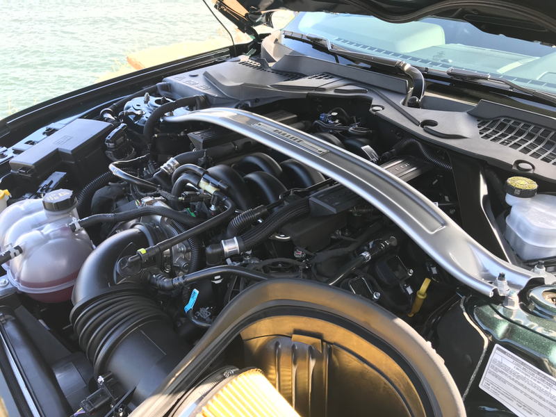 Illustration for article titled The 2019 Ford Mustang Bullitt Is Everything You Want It to Be